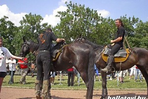 taxisnap_2006 064.JPG